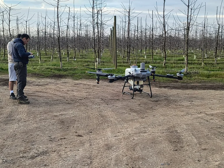 Drone agrícola en un huerto de Curicó